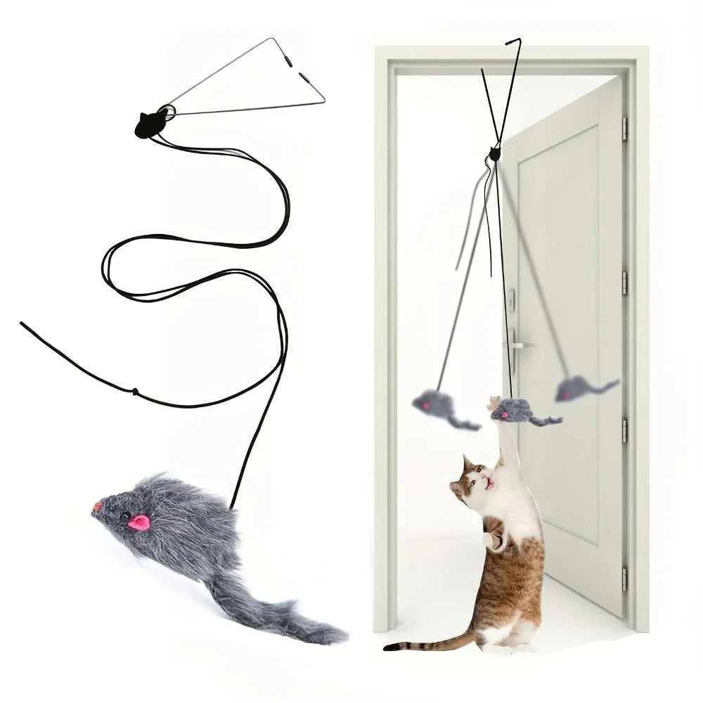 Door Hanging Cat Teaser Toy
