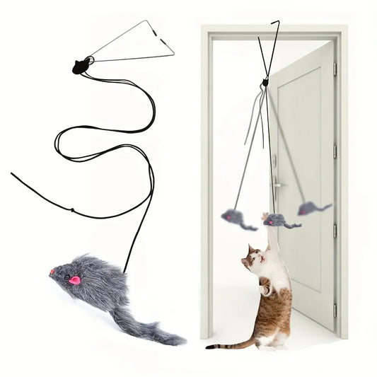Door Hanging Cat Teaser Toy