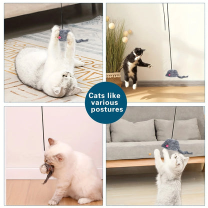 Door Hanging Cat Teaser Toy