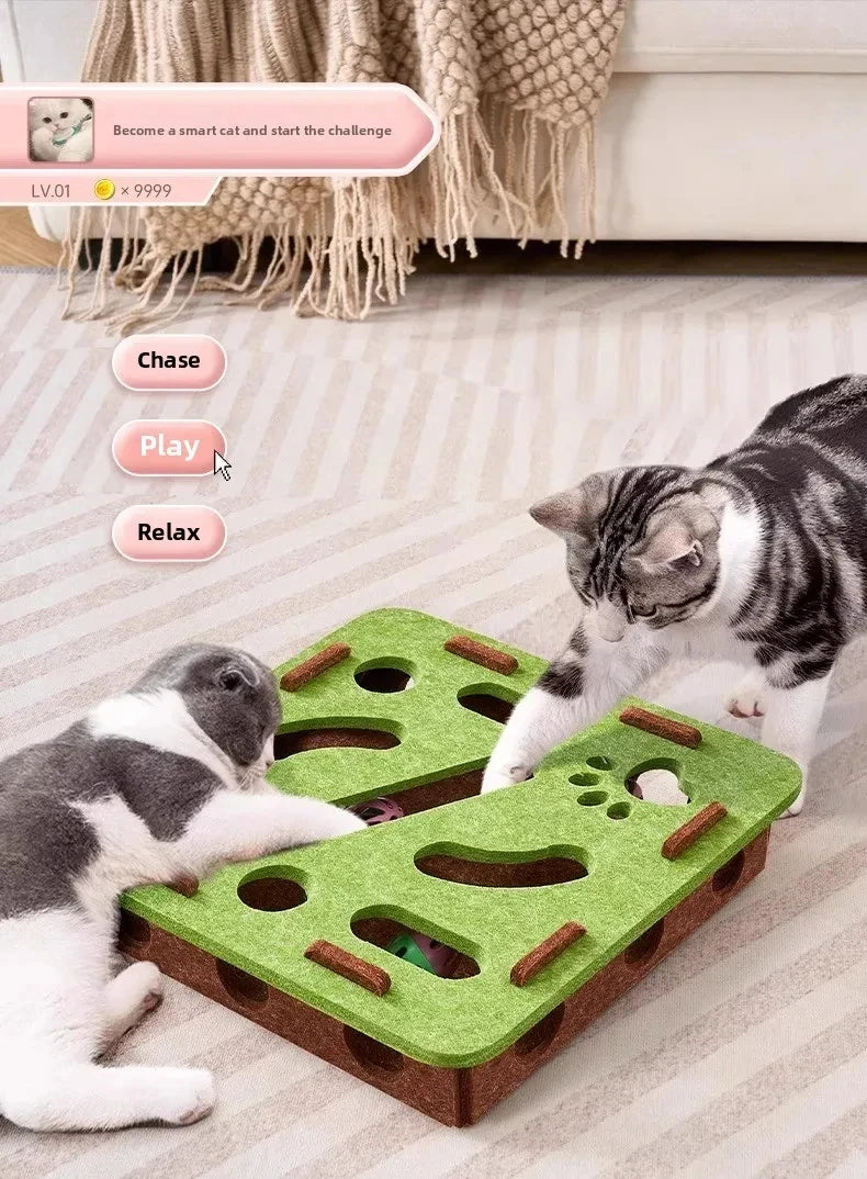 Indoor Cat Puzzle Play Box