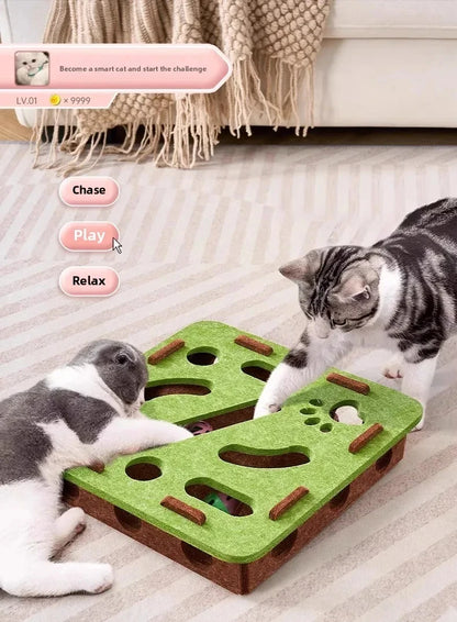 Indoor Cat Puzzle Play Box