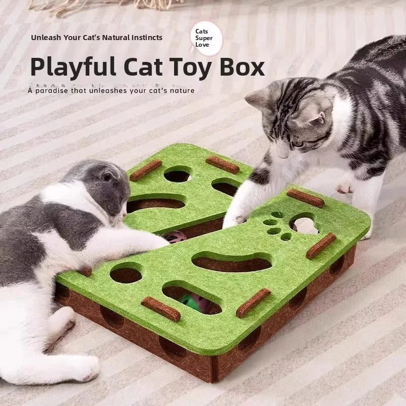 Indoor Cat Puzzle Play Box