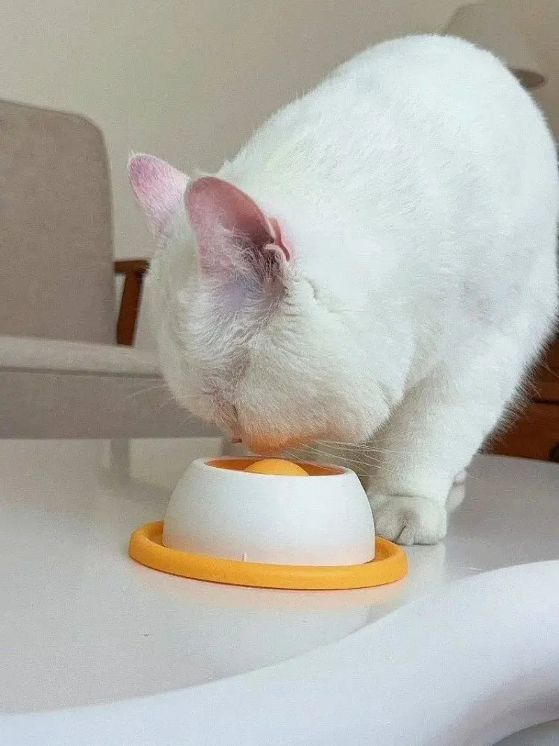 Non-Slip Pet Lick & Slow Feeder Bowl