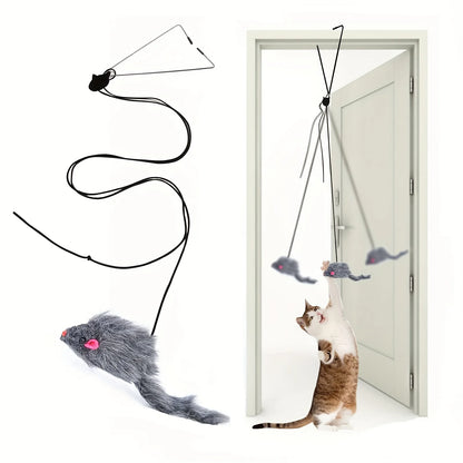 Door Hanging Cat Teaser Toy
