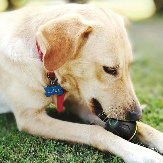 Smart Rolling Dog Toy with Lights